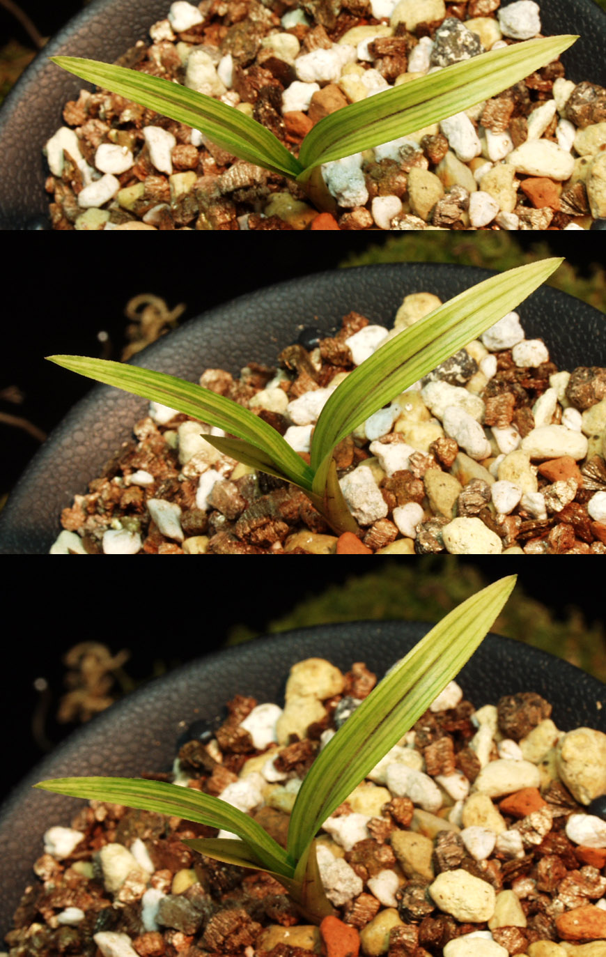 ������ ū������ �� �� �ֽ��ϴ�.