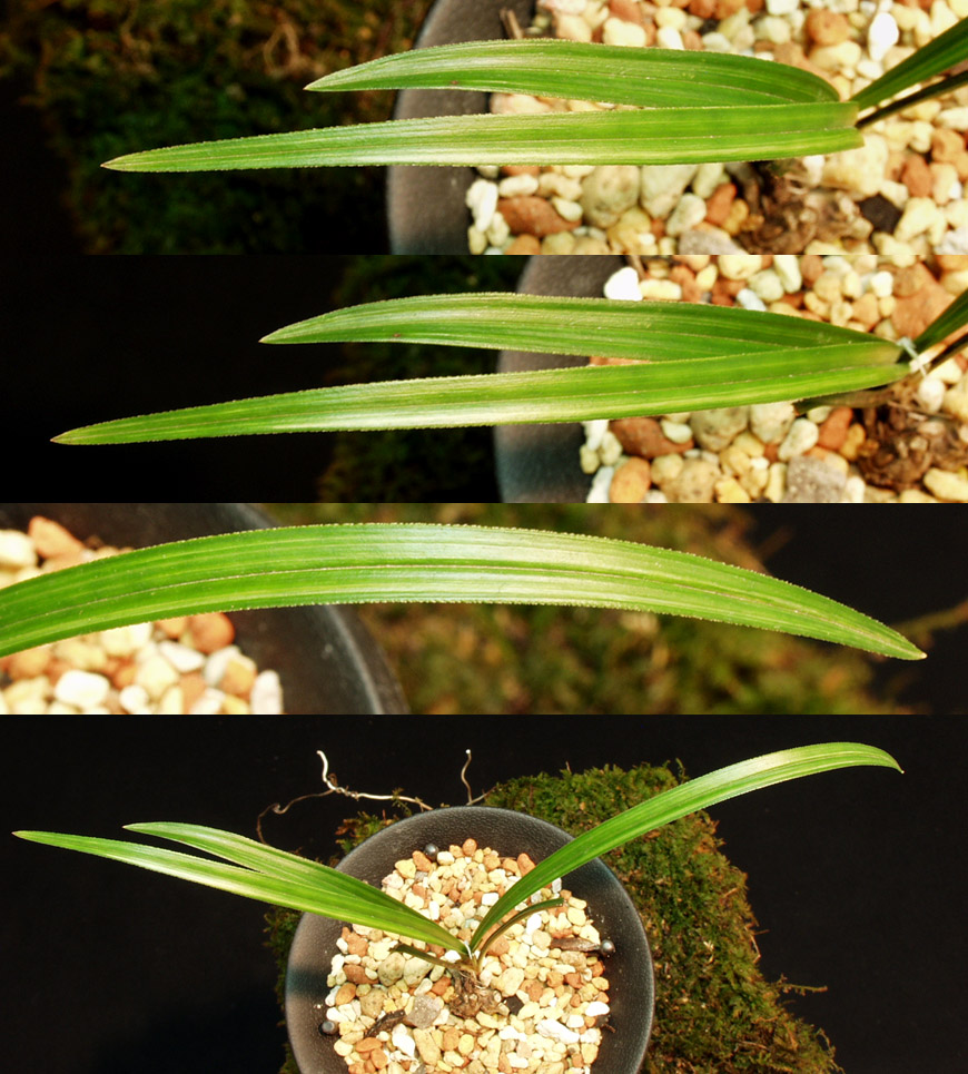 ������ ū������ �� �� �ֽ��ϴ�.