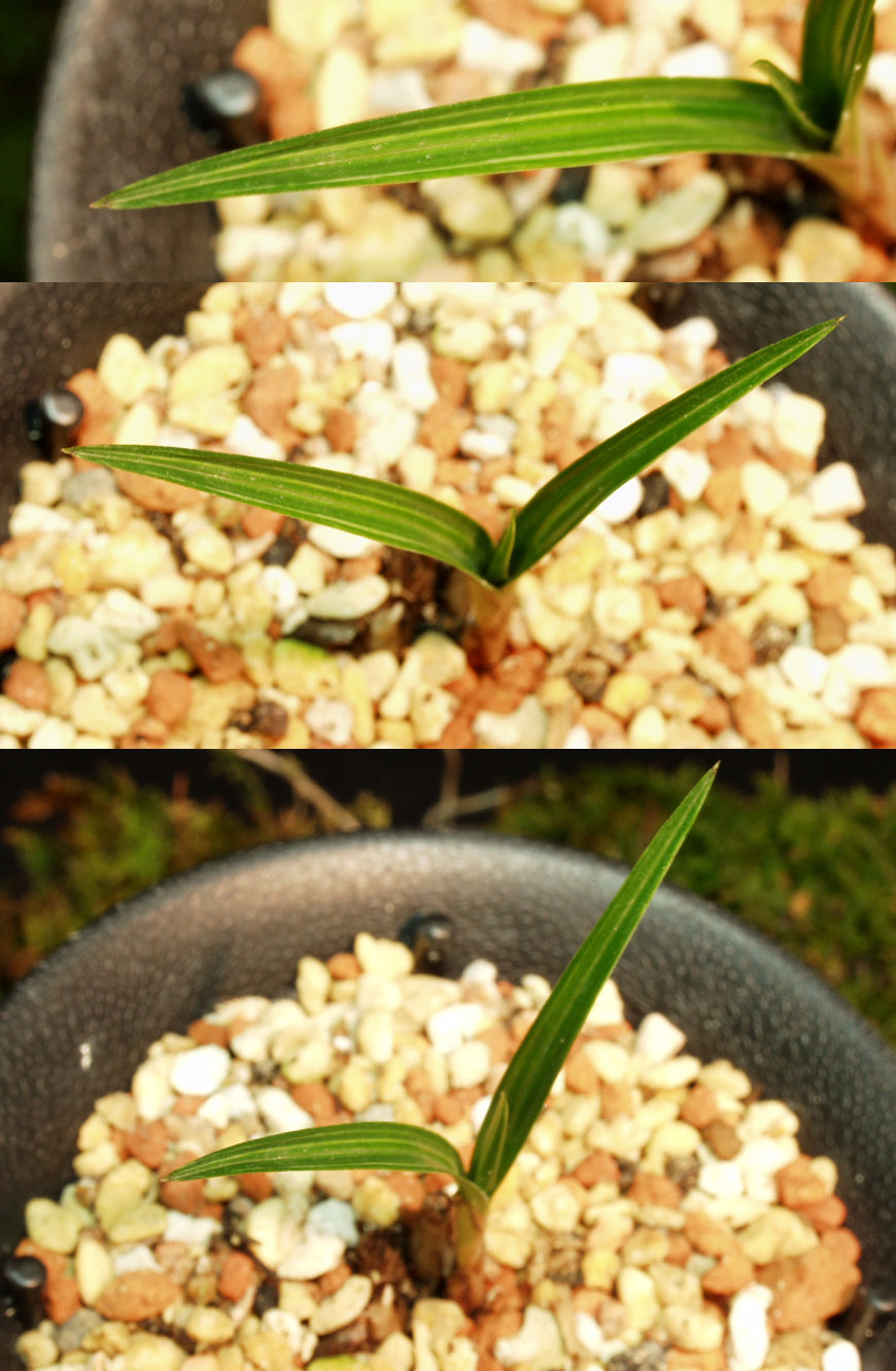 ������ ū������ �� �� �ֽ��ϴ�.