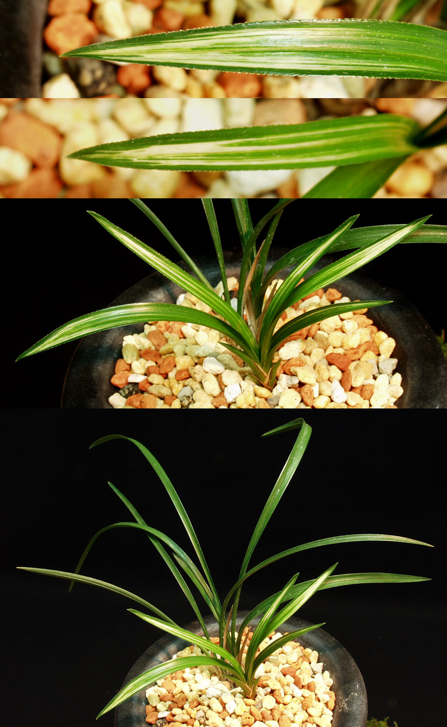 ������ ū������ �� �� �ֽ��ϴ�.