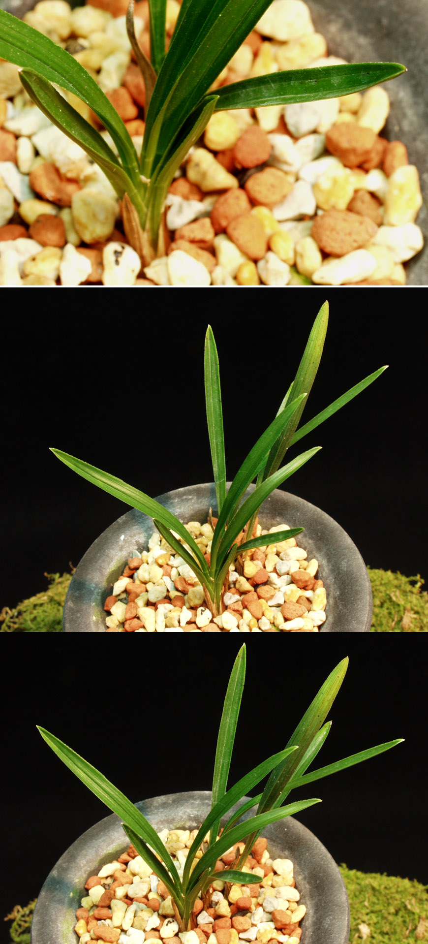 ������ ū������ �� �� �ֽ��ϴ�.