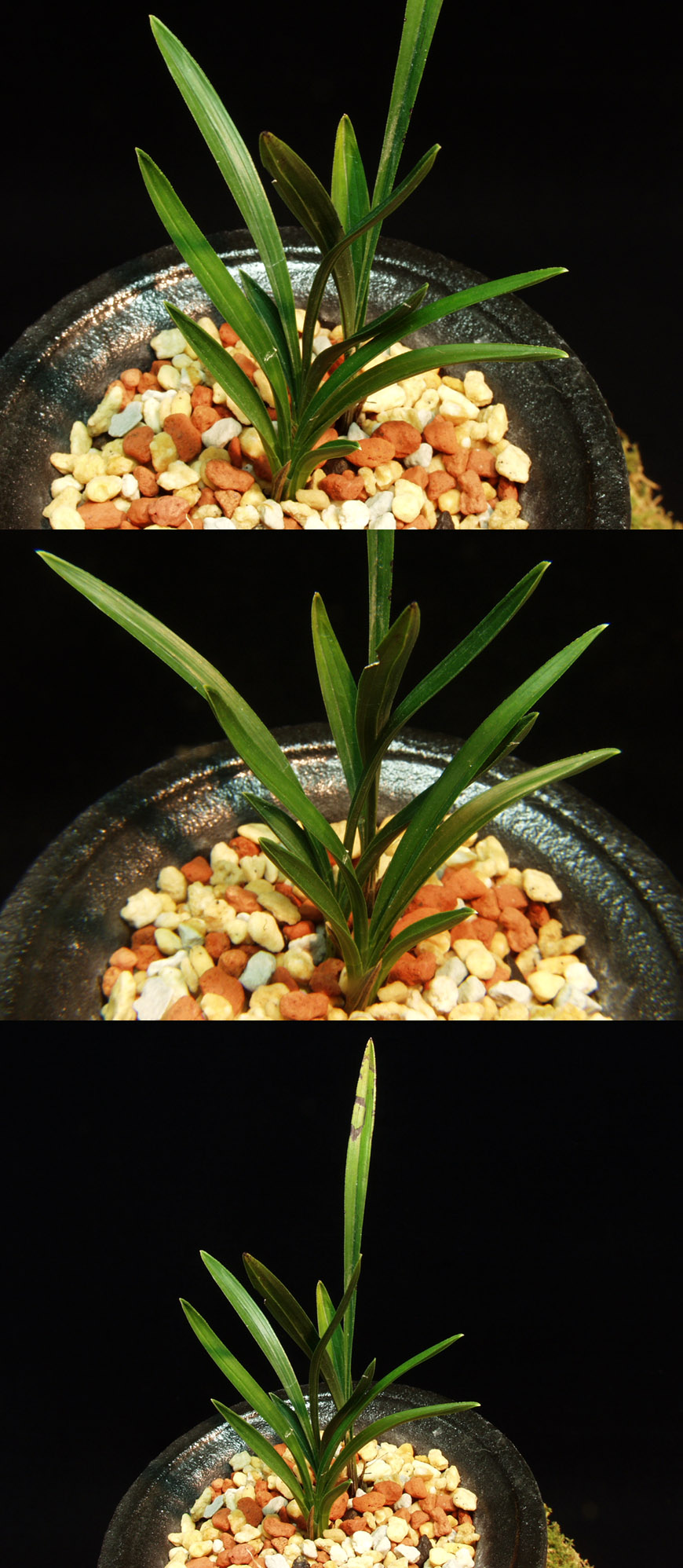 ������ ū������ �� �� �ֽ��ϴ�.