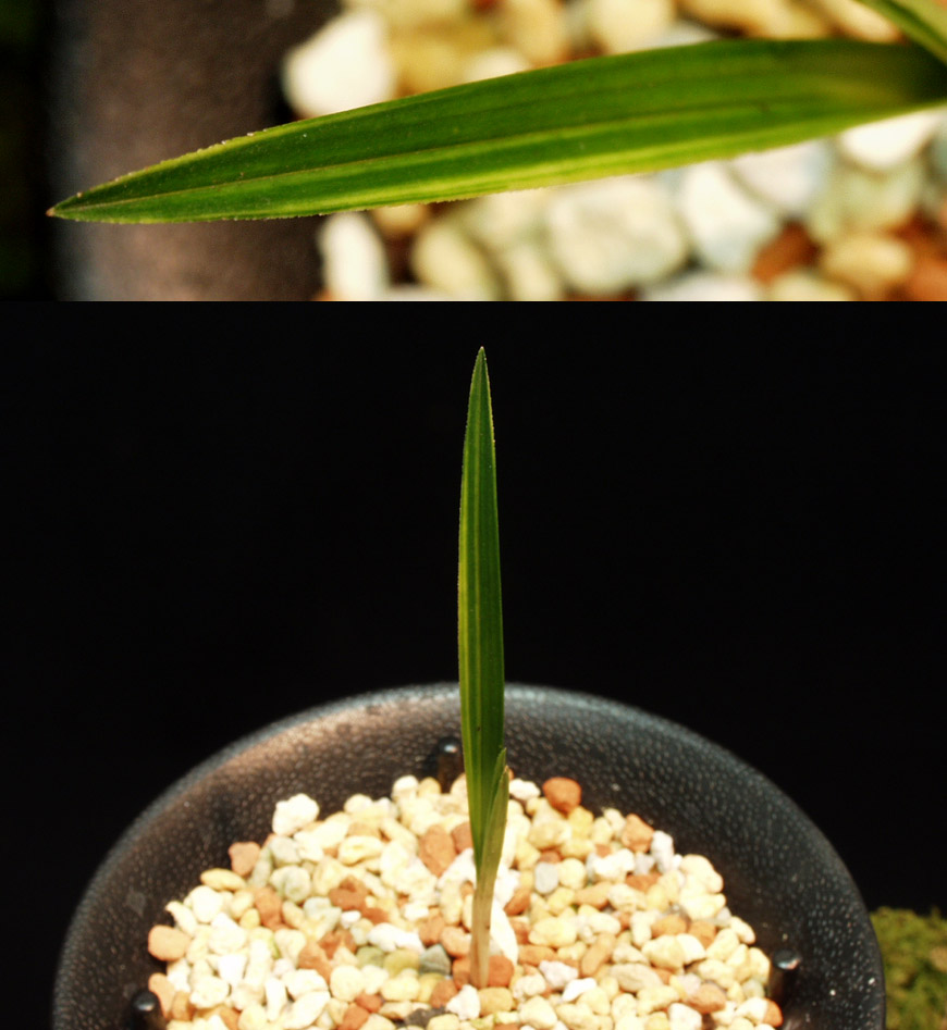 ������ ū������ �� �� �ֽ��ϴ�.