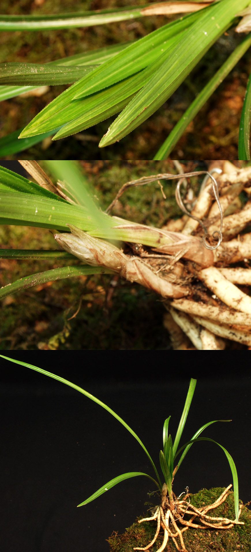 ������ ū������ �� �� �ֽ��ϴ�.