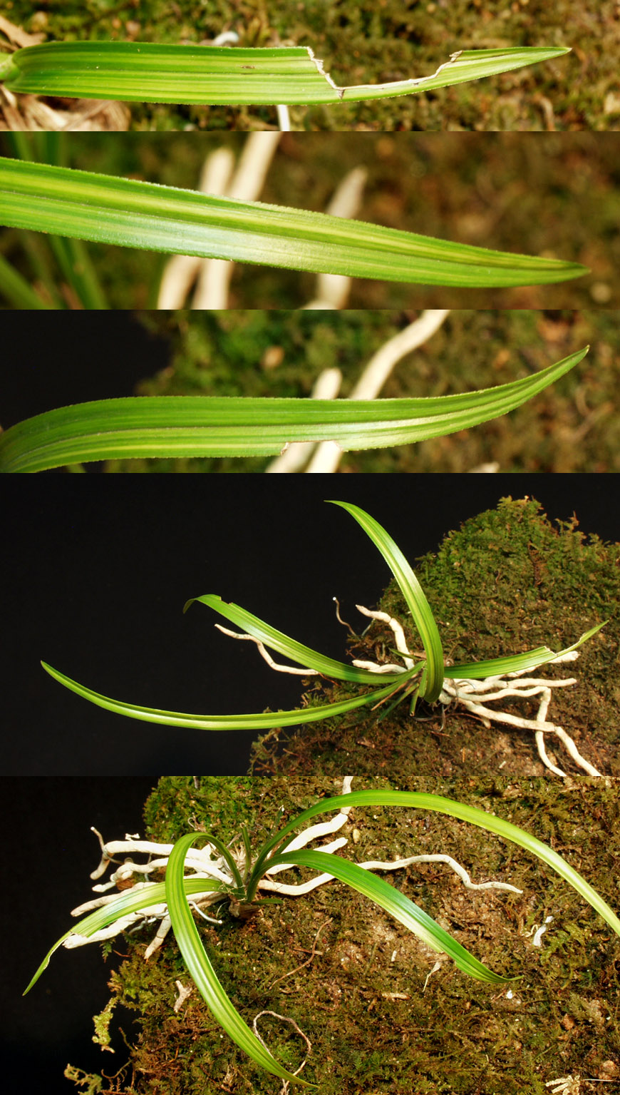 ������ ū������ �� �� �ֽ��ϴ�.