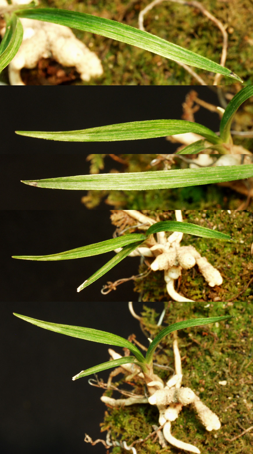 ������ ū������ �� �� �ֽ��ϴ�.