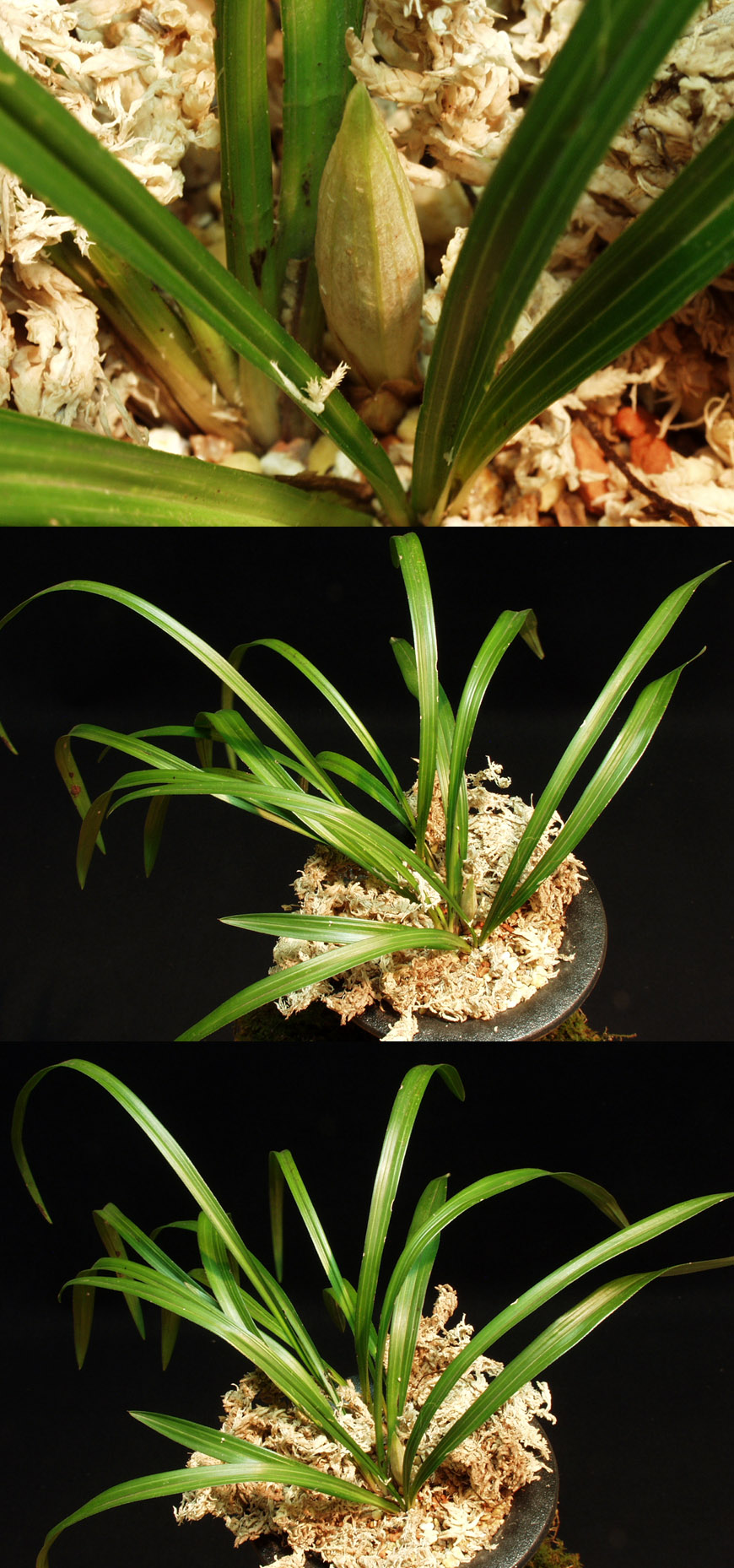 ������ ū������ �� �� �ֽ��ϴ�.