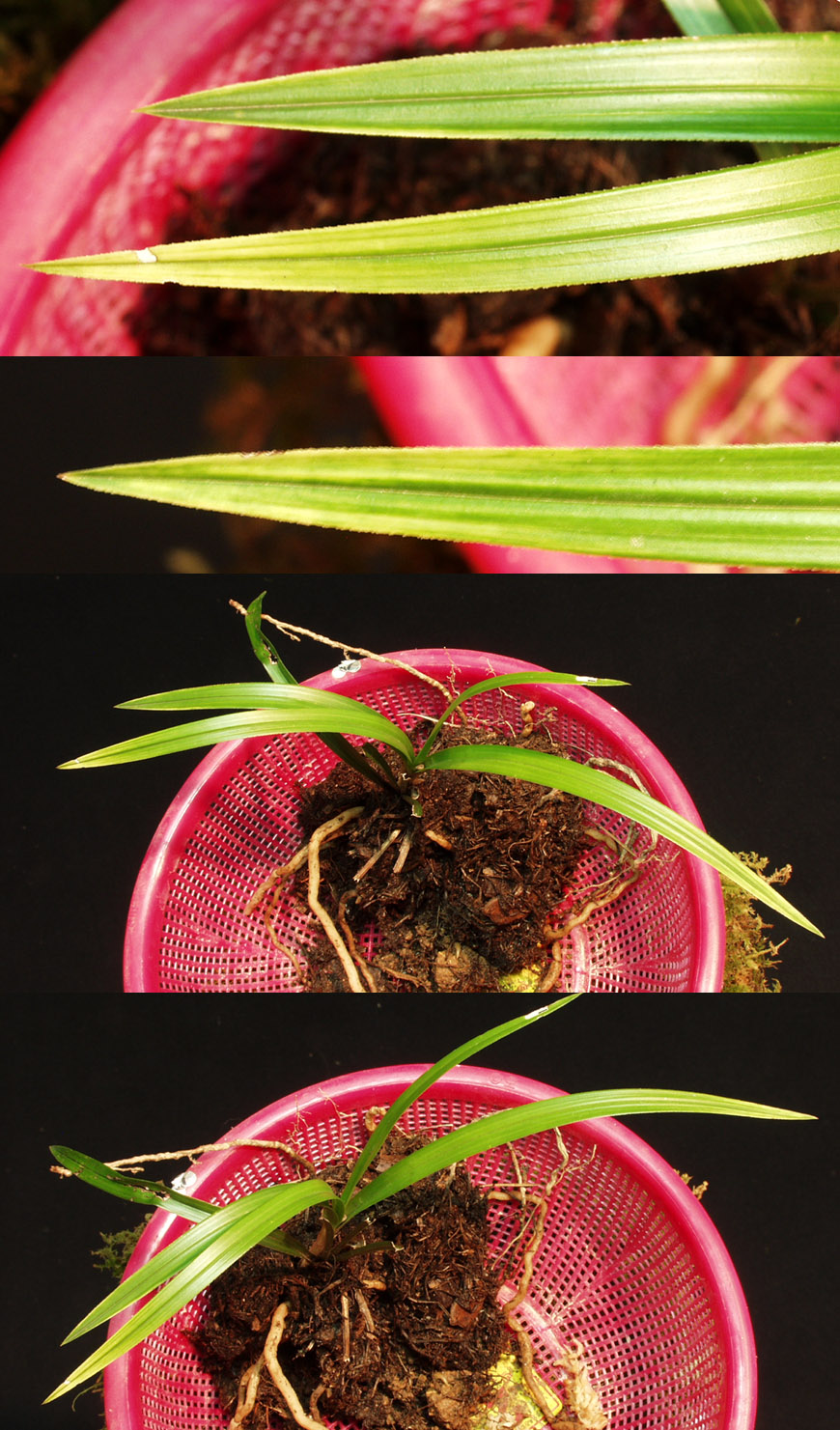 ������ ū������ �� �� �ֽ��ϴ�.