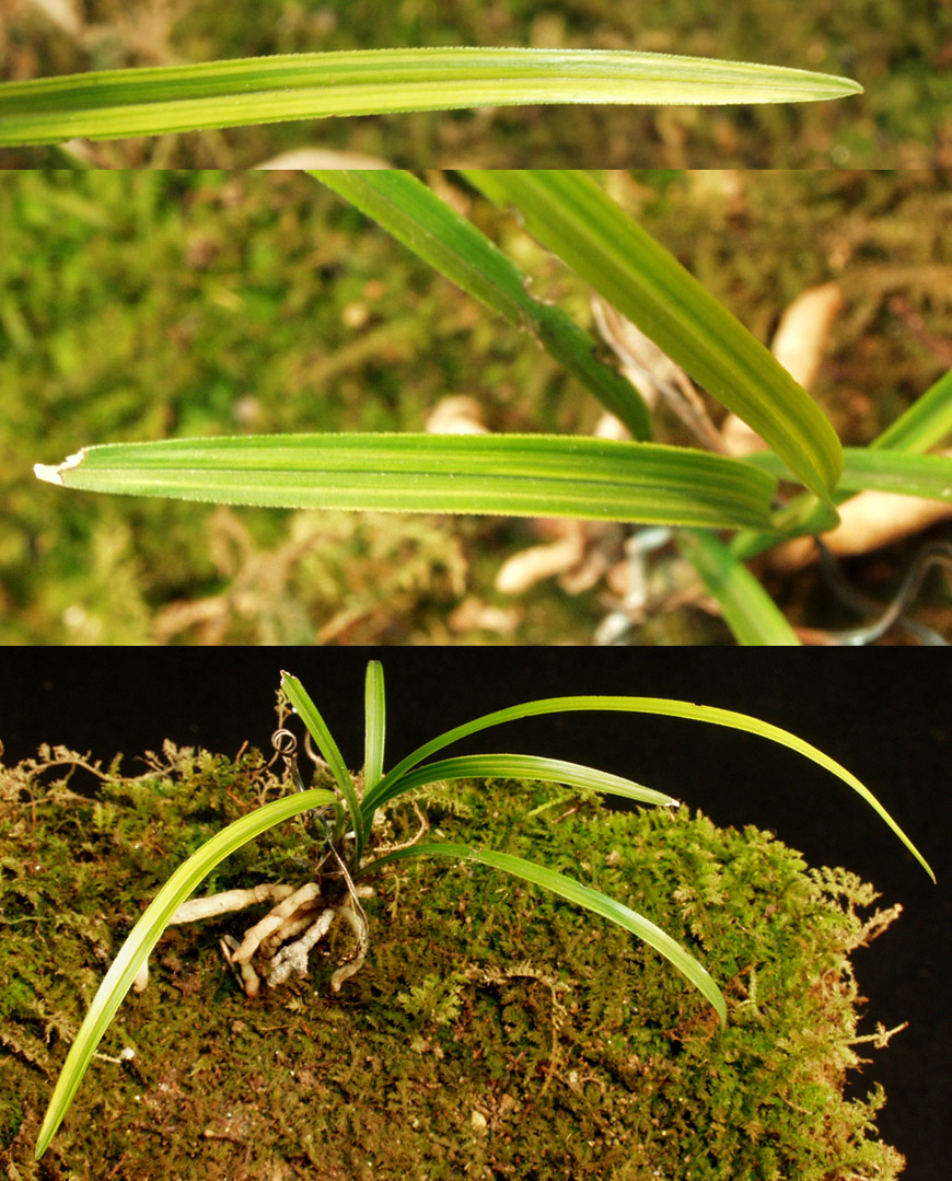 ������ ū������ �� �� �ֽ��ϴ�.