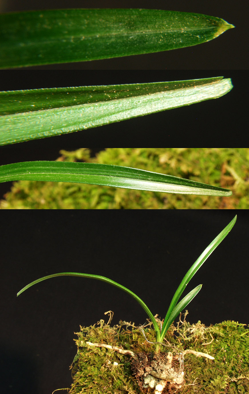 ������ ū������ �� �� �ֽ��ϴ�.