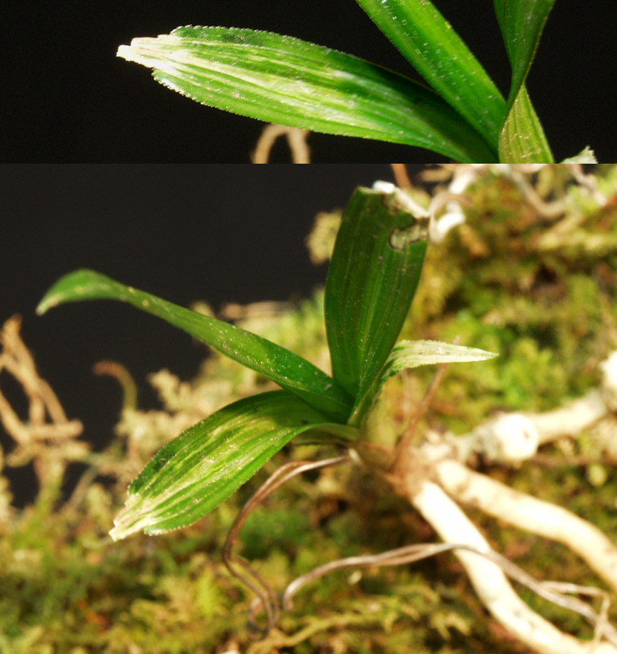 ������ ū������ �� �� �ֽ��ϴ�.