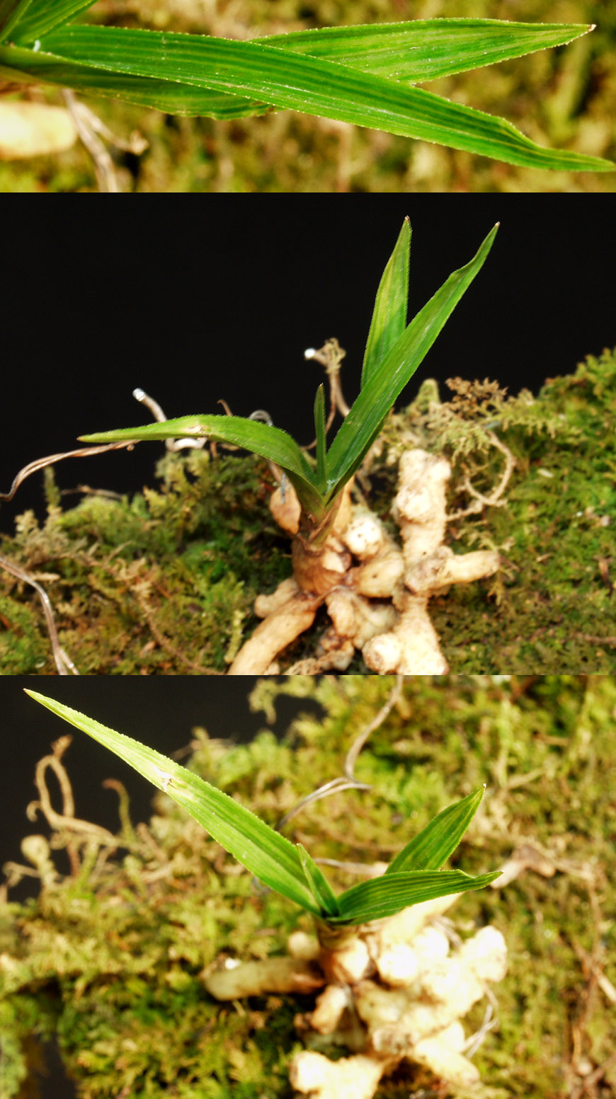 ������ ū������ �� �� �ֽ��ϴ�.