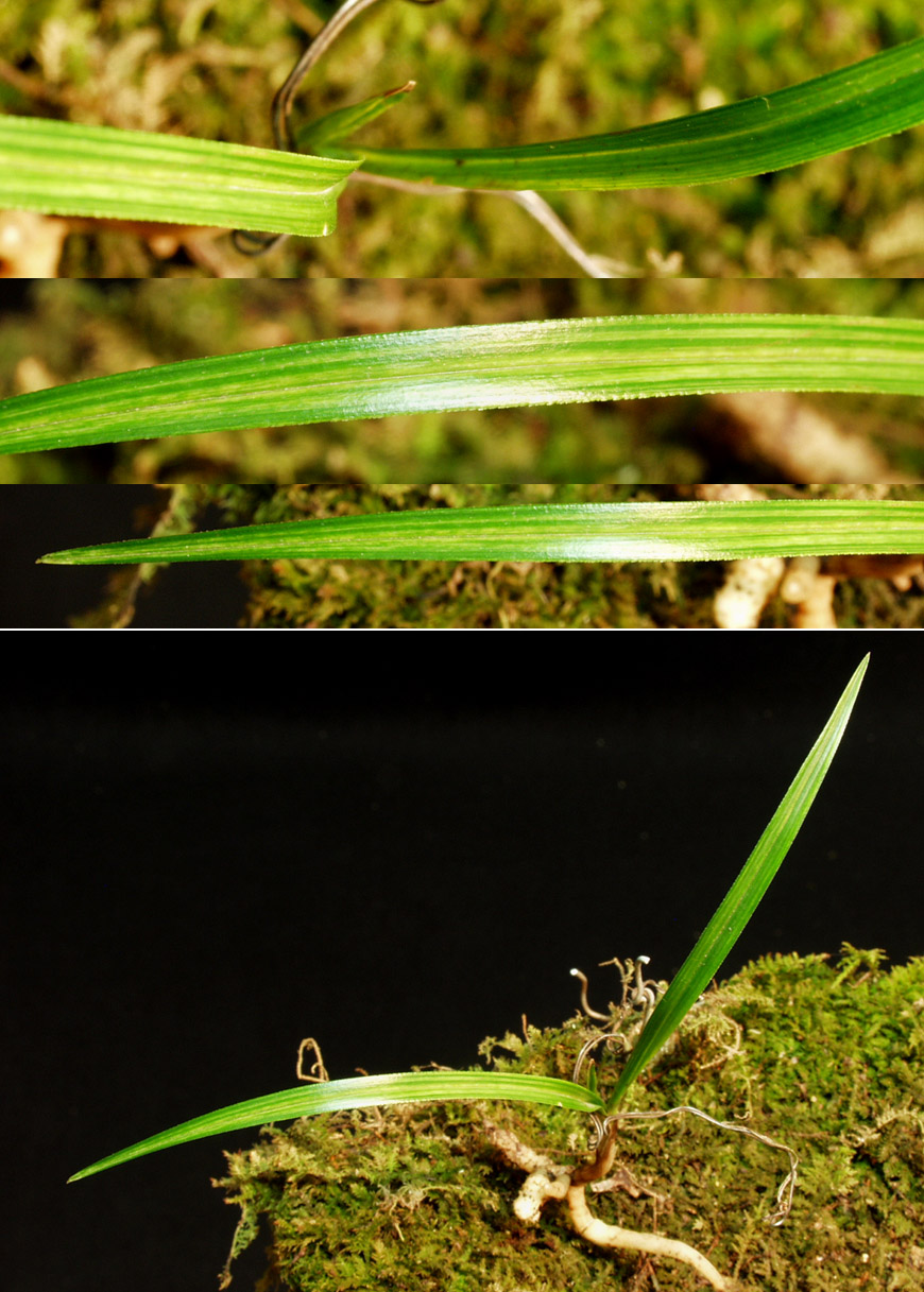 ������ ū������ �� �� �ֽ��ϴ�.