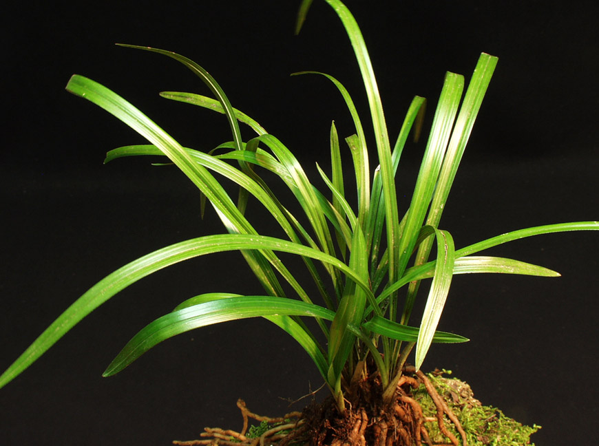 ������ ū������ �� �� �ֽ��ϴ�.