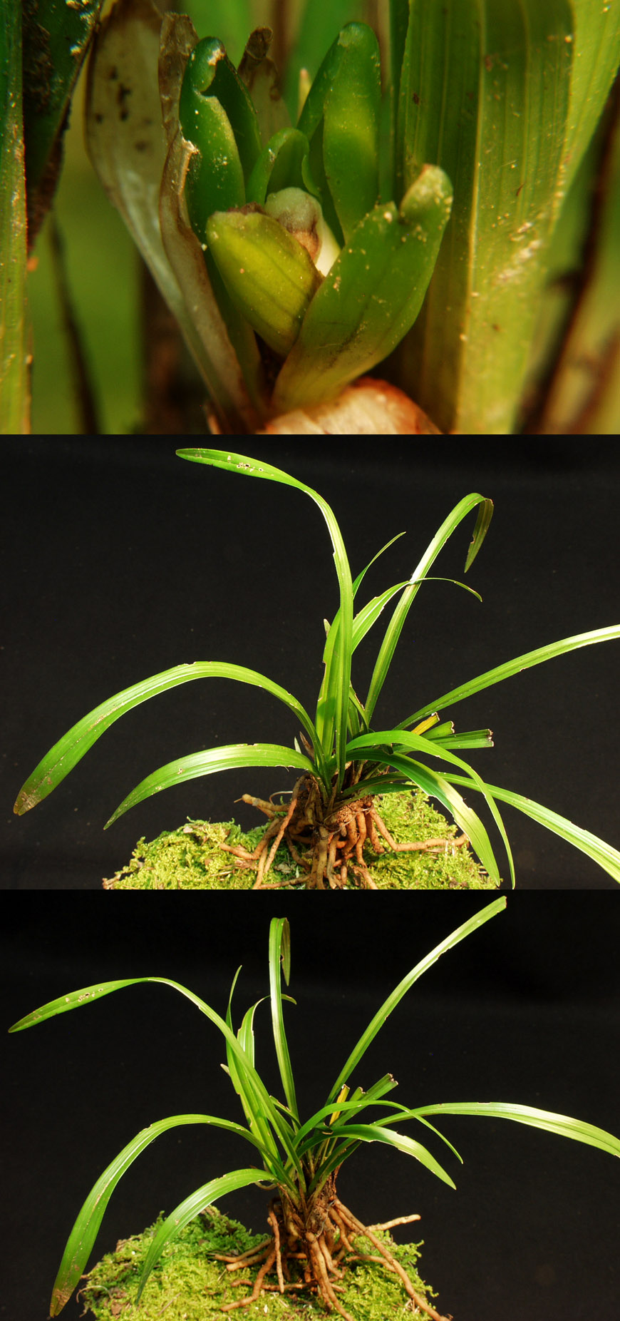 ������ ū������ �� �� �ֽ��ϴ�.