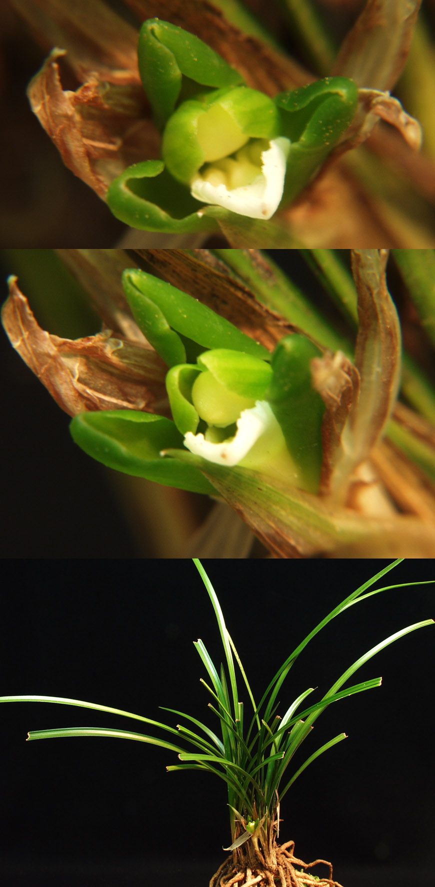 ������ ū������ �� �� �ֽ��ϴ�.