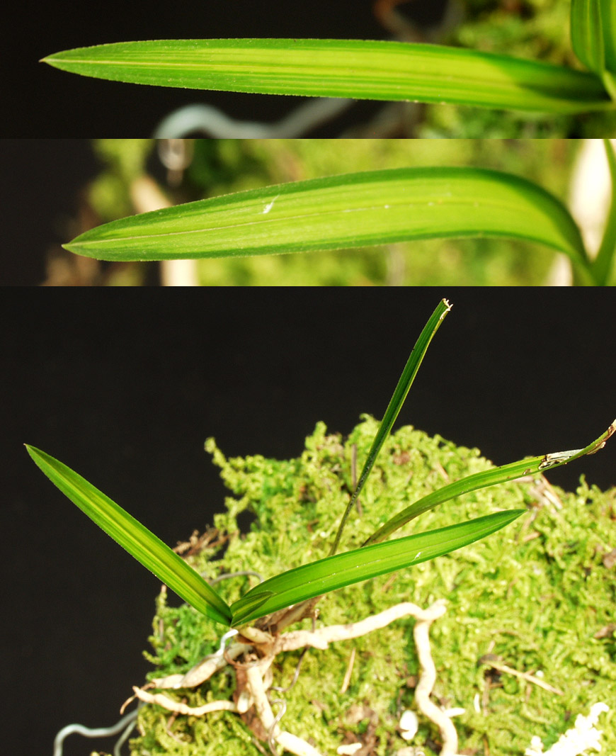 ������ ū������ �� �� �ֽ��ϴ�.