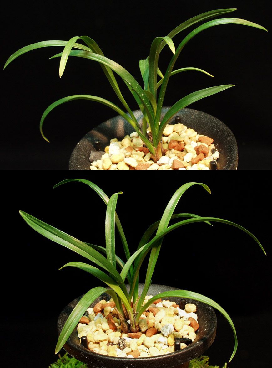 ������ ū������ �� �� �ֽ��ϴ�.