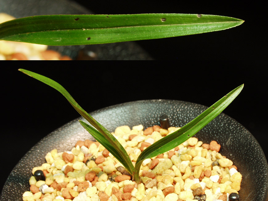 ������ ū������ �� �� �ֽ��ϴ�.