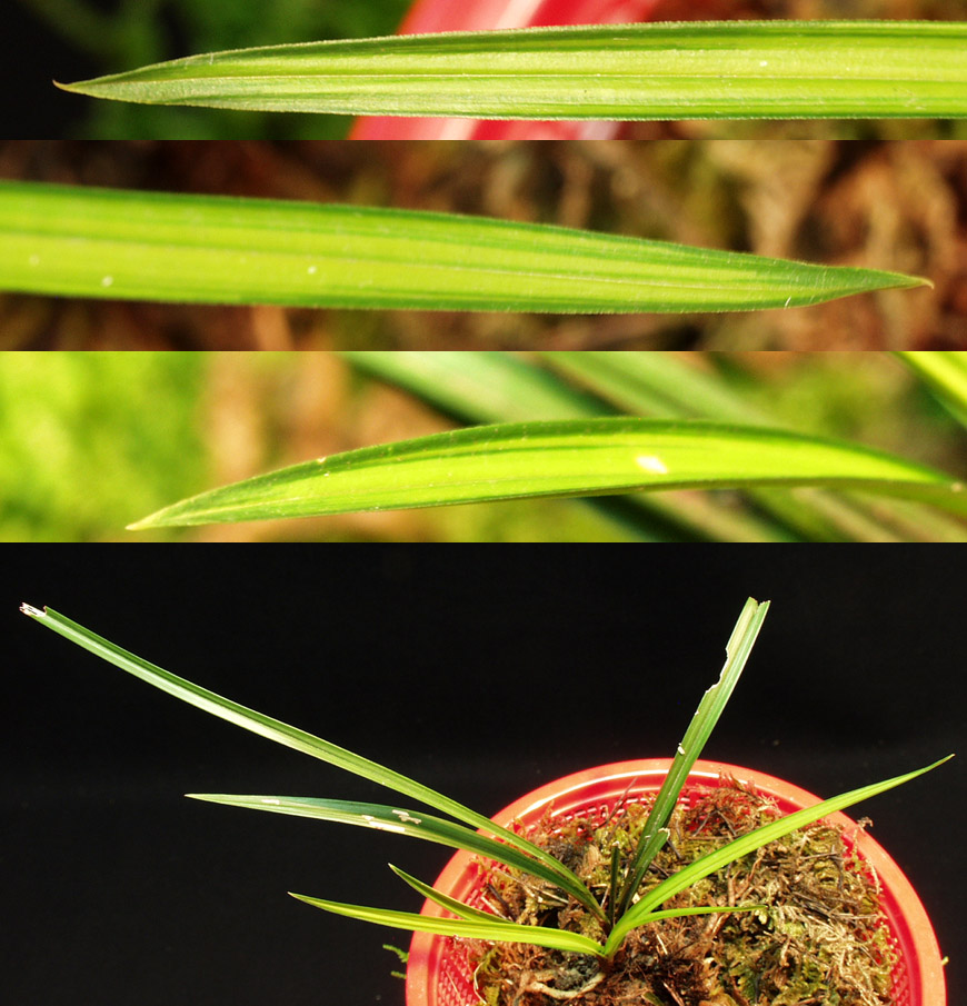 ������ ū������ �� �� �ֽ��ϴ�.