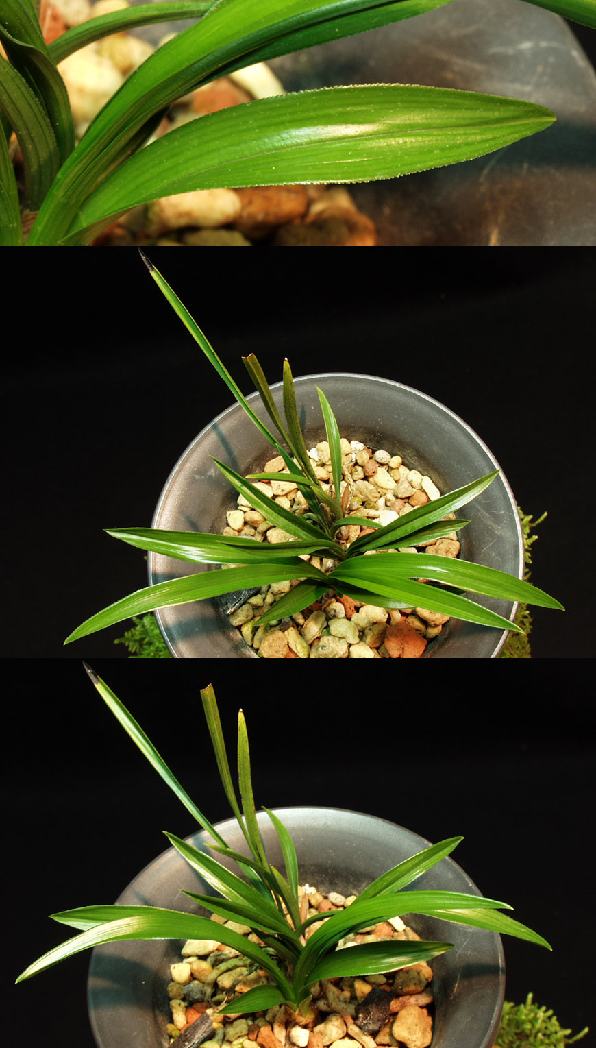 ������ ū������ �� �� �ֽ��ϴ�.