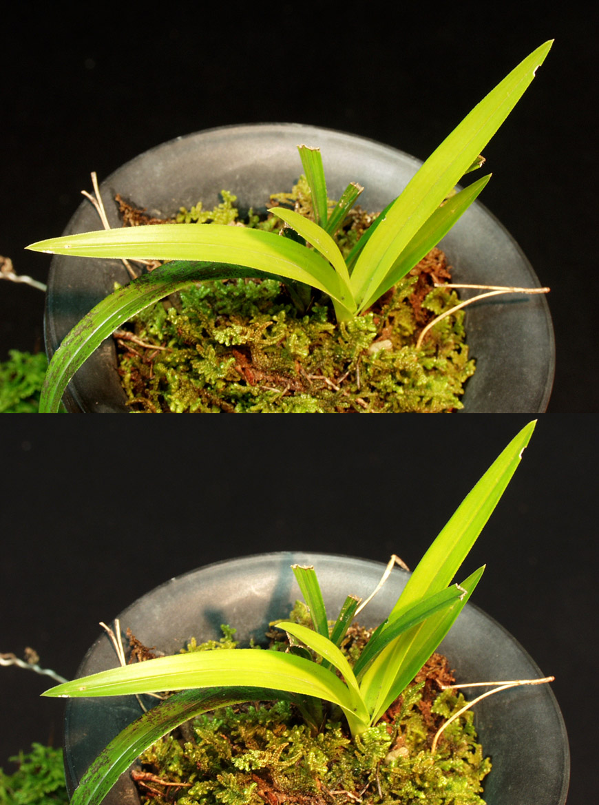 ������ ū������ �� �� �ֽ��ϴ�.