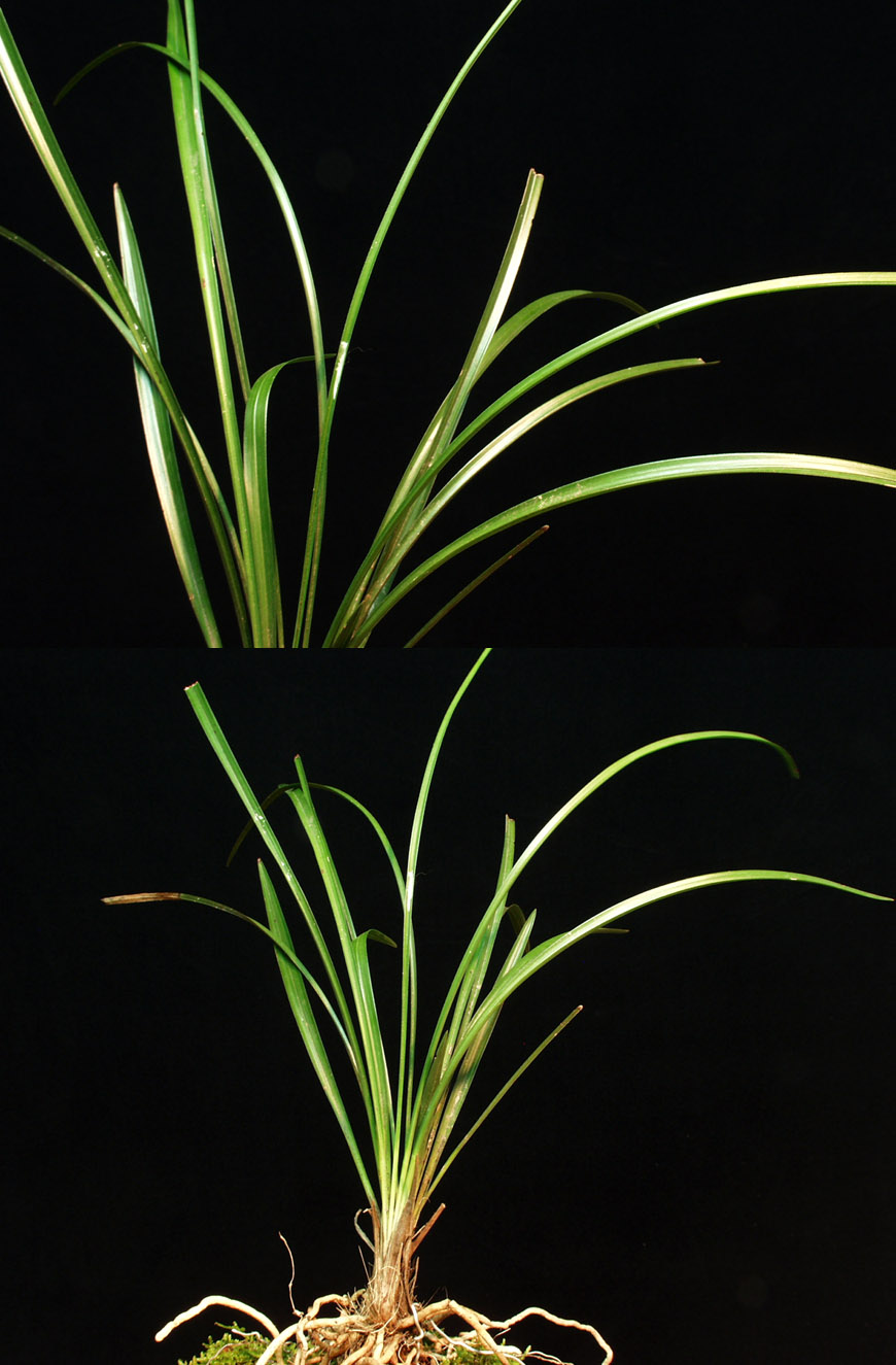 ������ ū������ �� �� �ֽ��ϴ�.