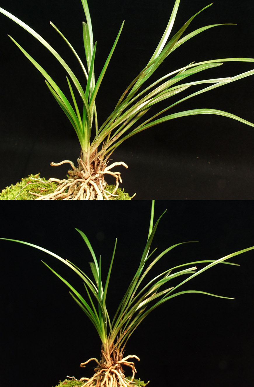 ������ ū������ �� �� �ֽ��ϴ�.