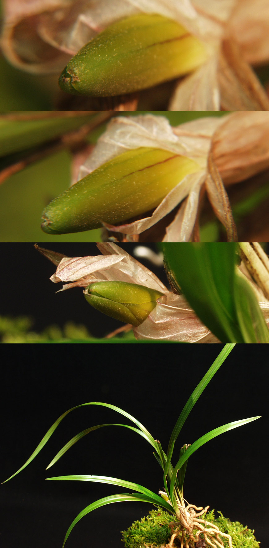 ������ ū������ �� �� �ֽ��ϴ�.