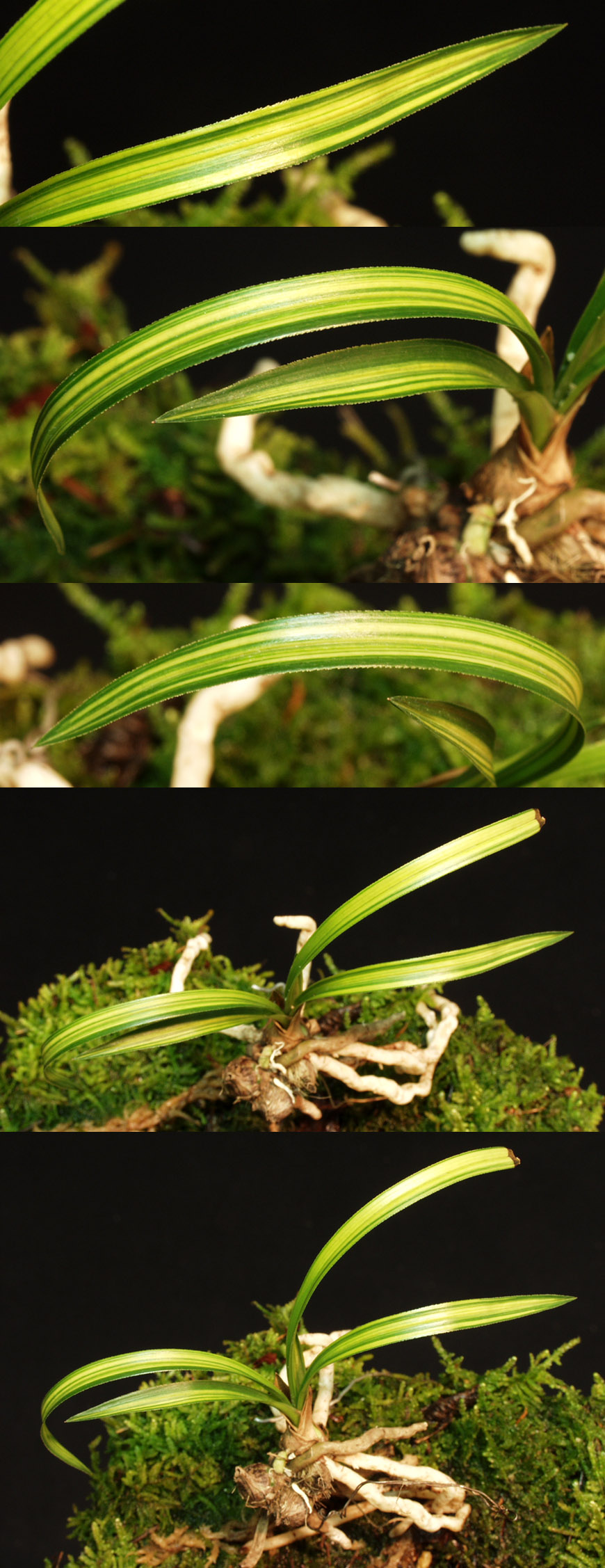 ������ ū������ �� �� �ֽ��ϴ�.