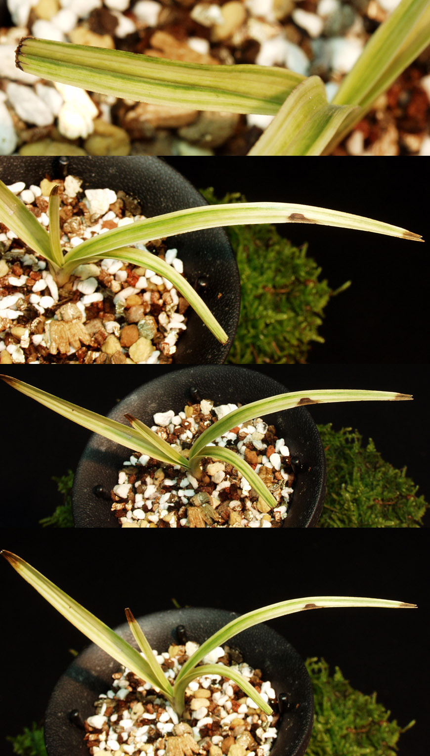 ������ ū������ �� �� �ֽ��ϴ�.