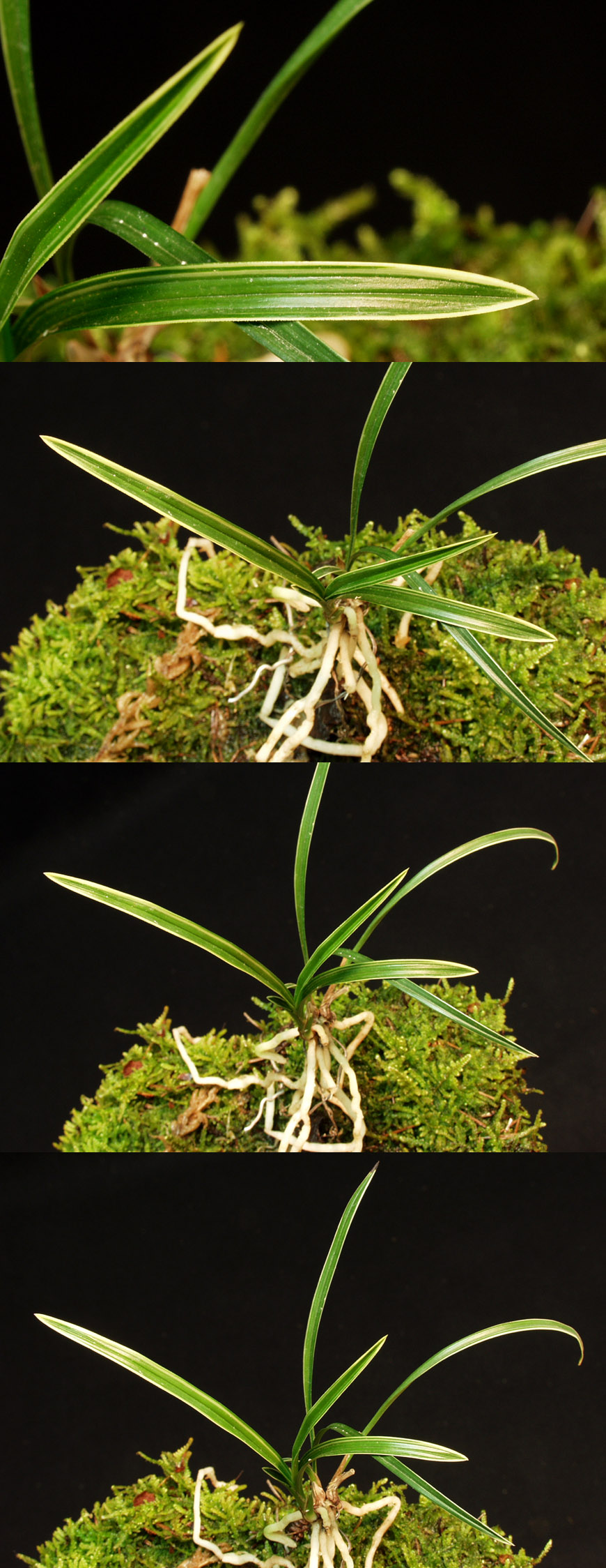 ������ ū������ �� �� �ֽ��ϴ�.