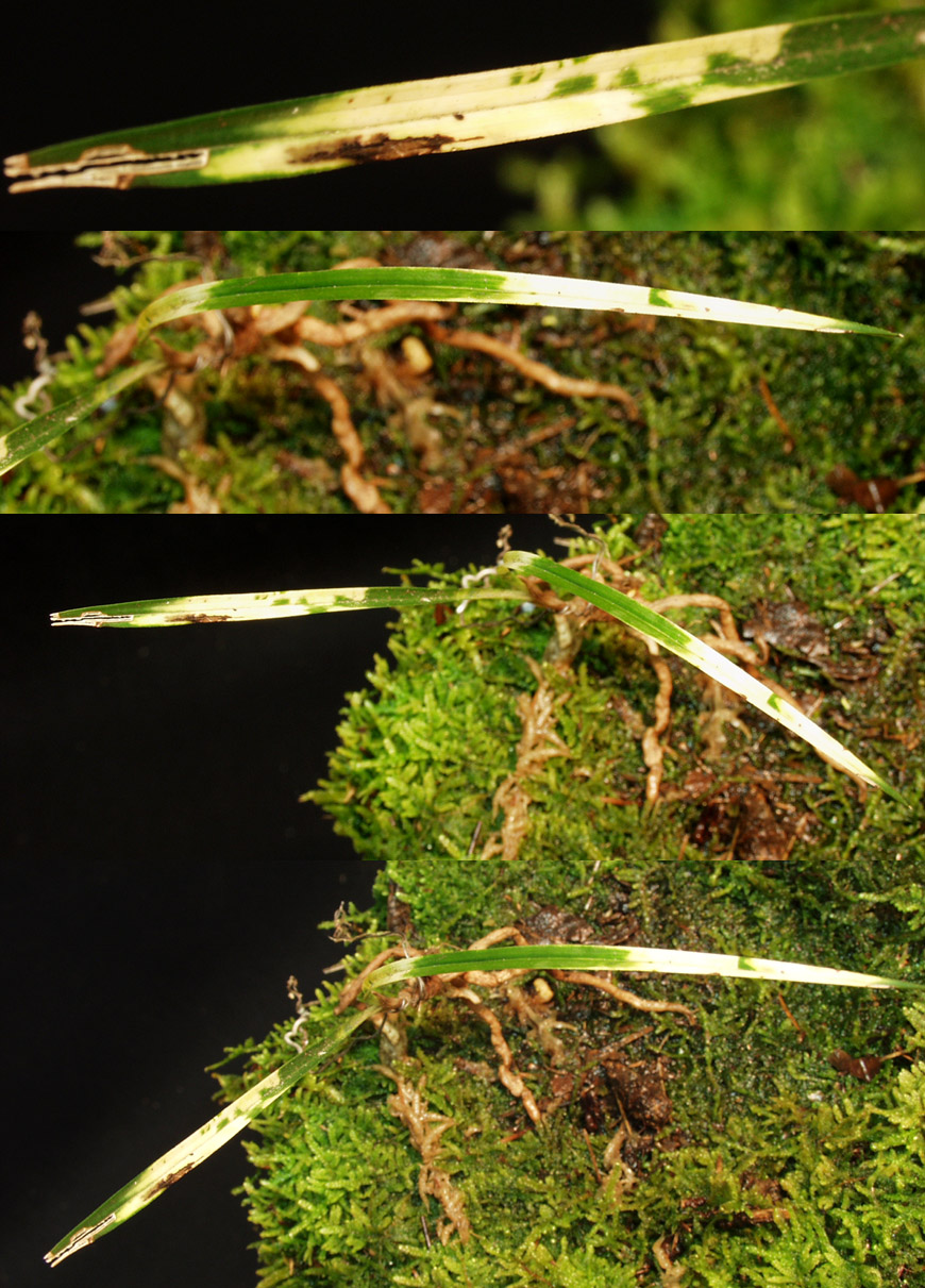 ������ ū������ �� �� �ֽ��ϴ�.