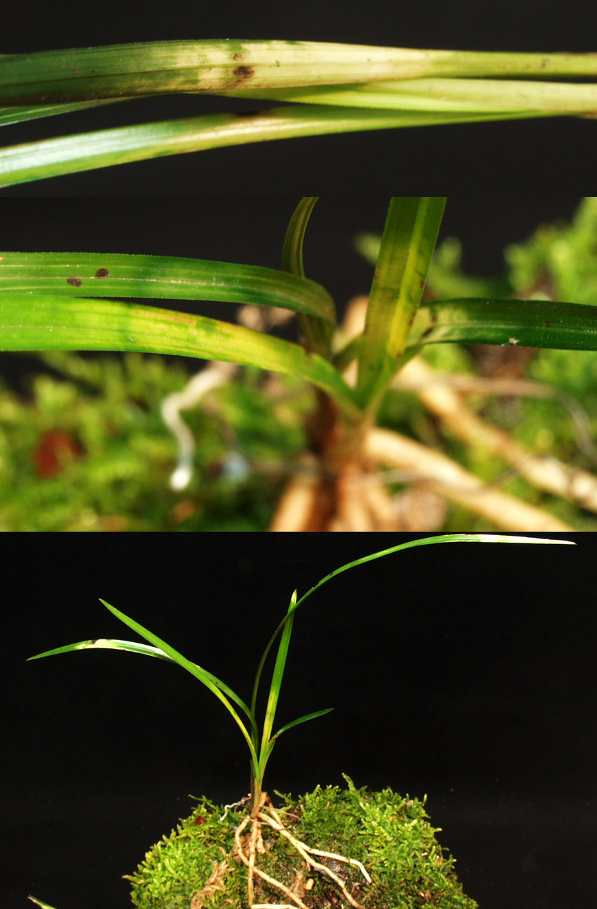 ������ ū������ �� �� �ֽ��ϴ�.