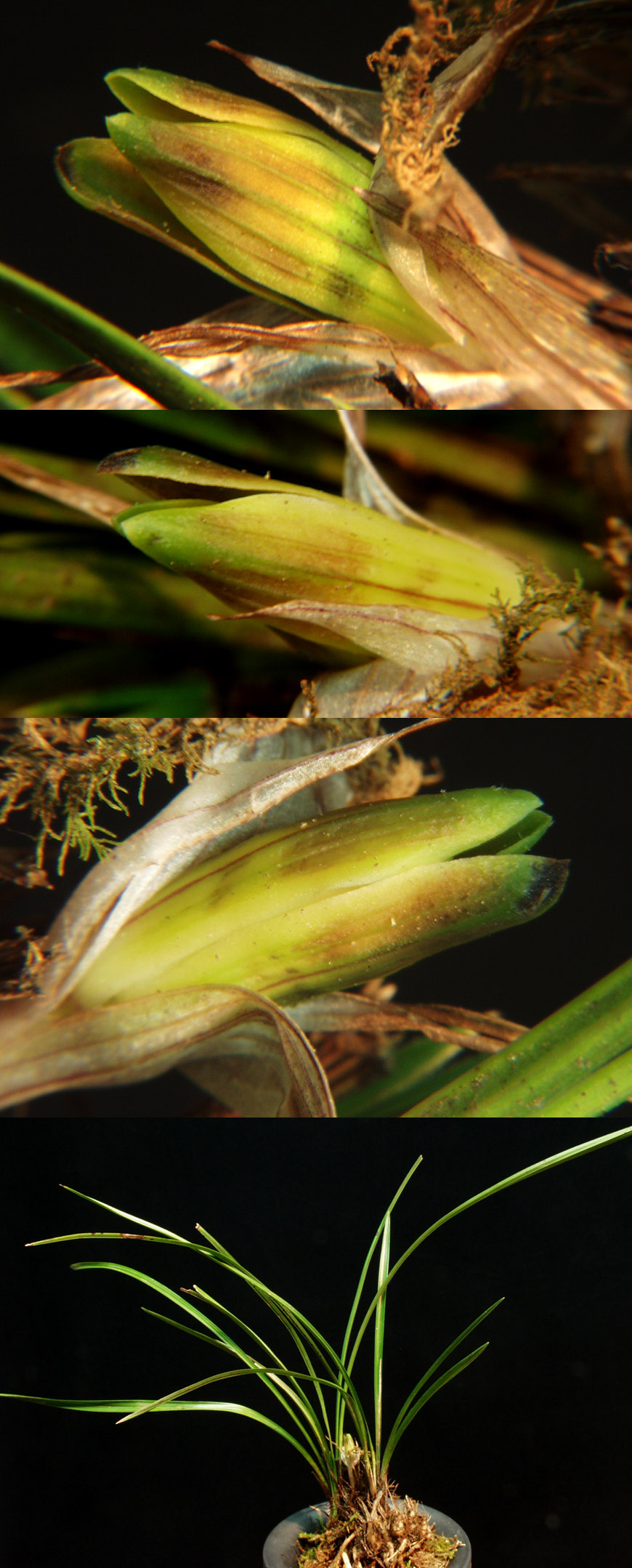 ������ ū������ �� �� �ֽ��ϴ�.