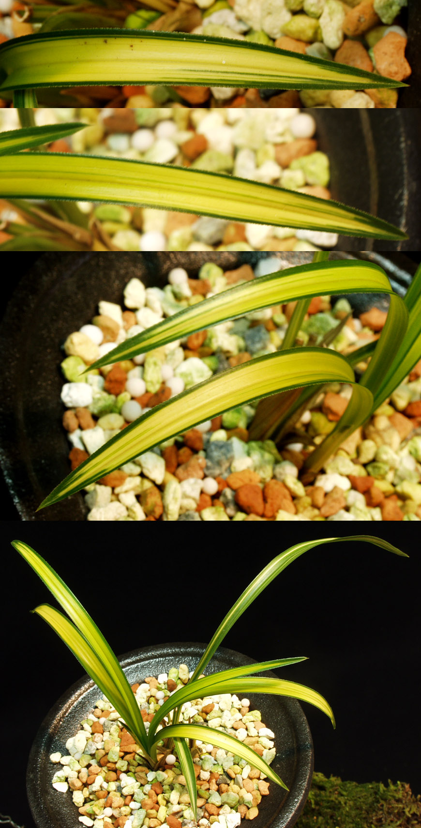 ������ ū������ �� �� �ֽ��ϴ�.