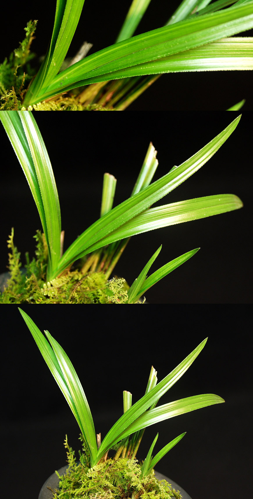 ������ ū������ �� �� �ֽ��ϴ�.