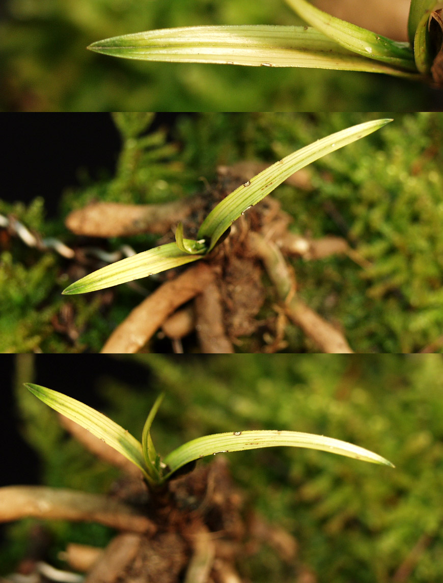 ������ ū������ �� �� �ֽ��ϴ�.