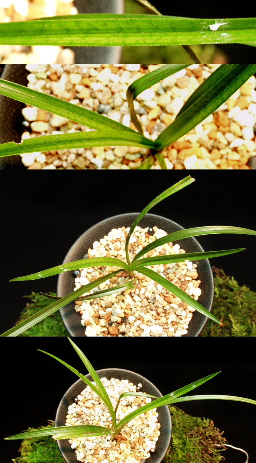 ������ ū������ �� �� �ֽ��ϴ�.