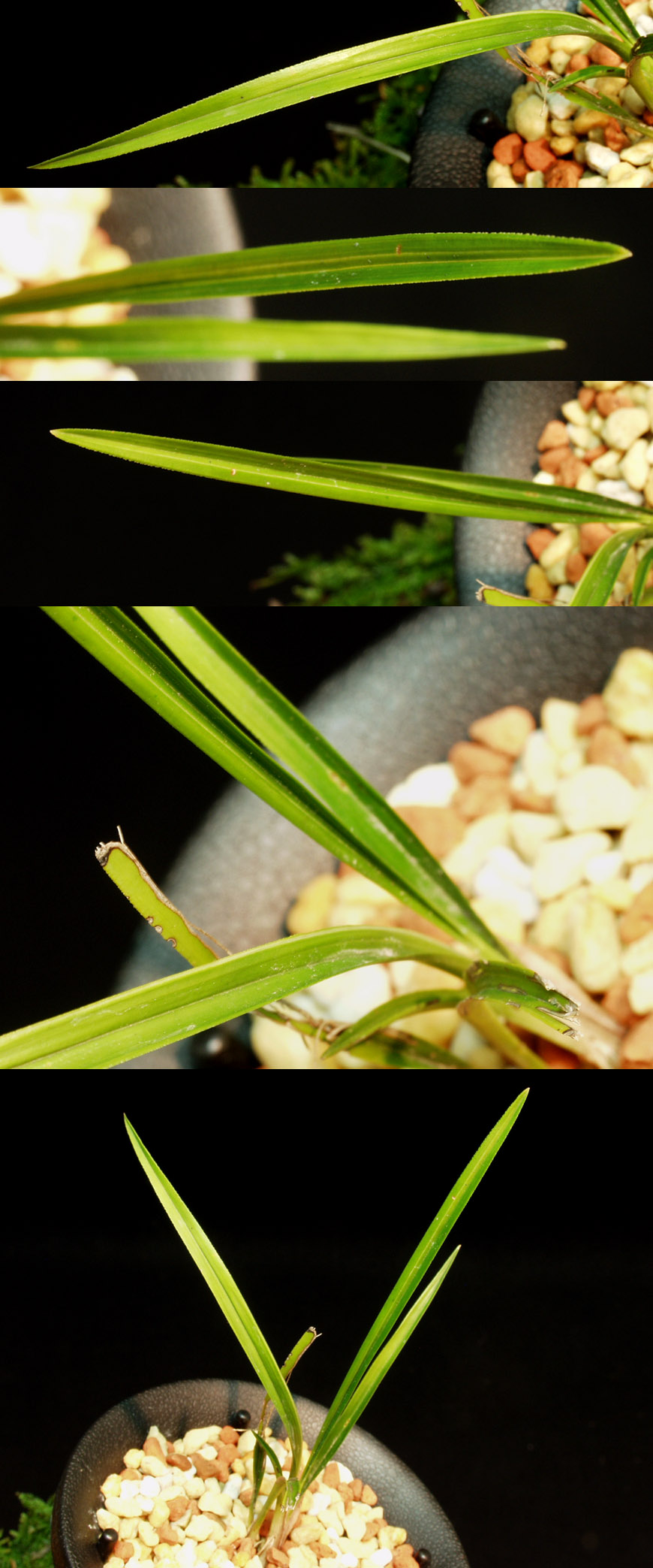 ������ ū������ �� �� �ֽ��ϴ�.