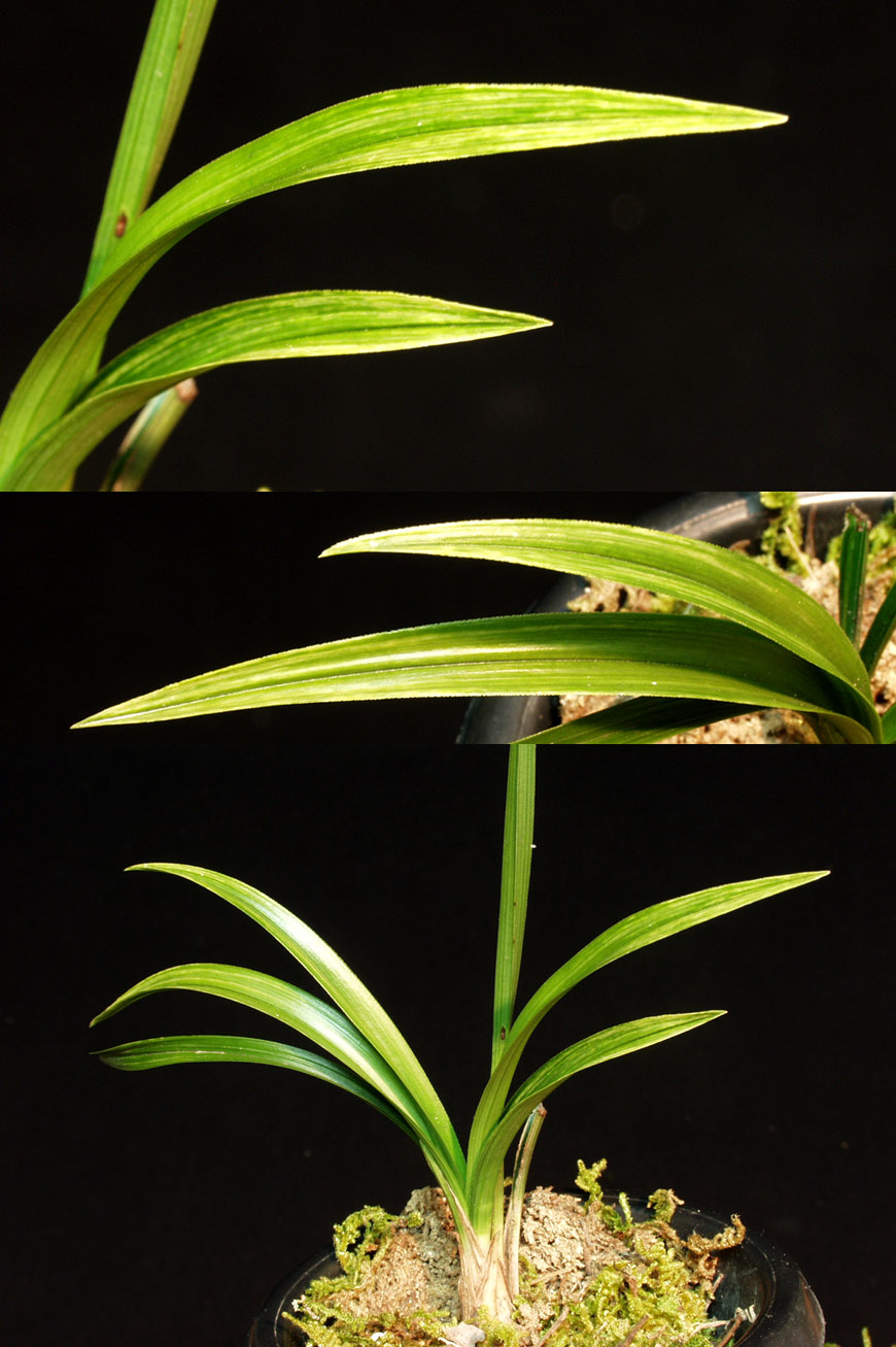 ������ ū������ �� �� �ֽ��ϴ�.