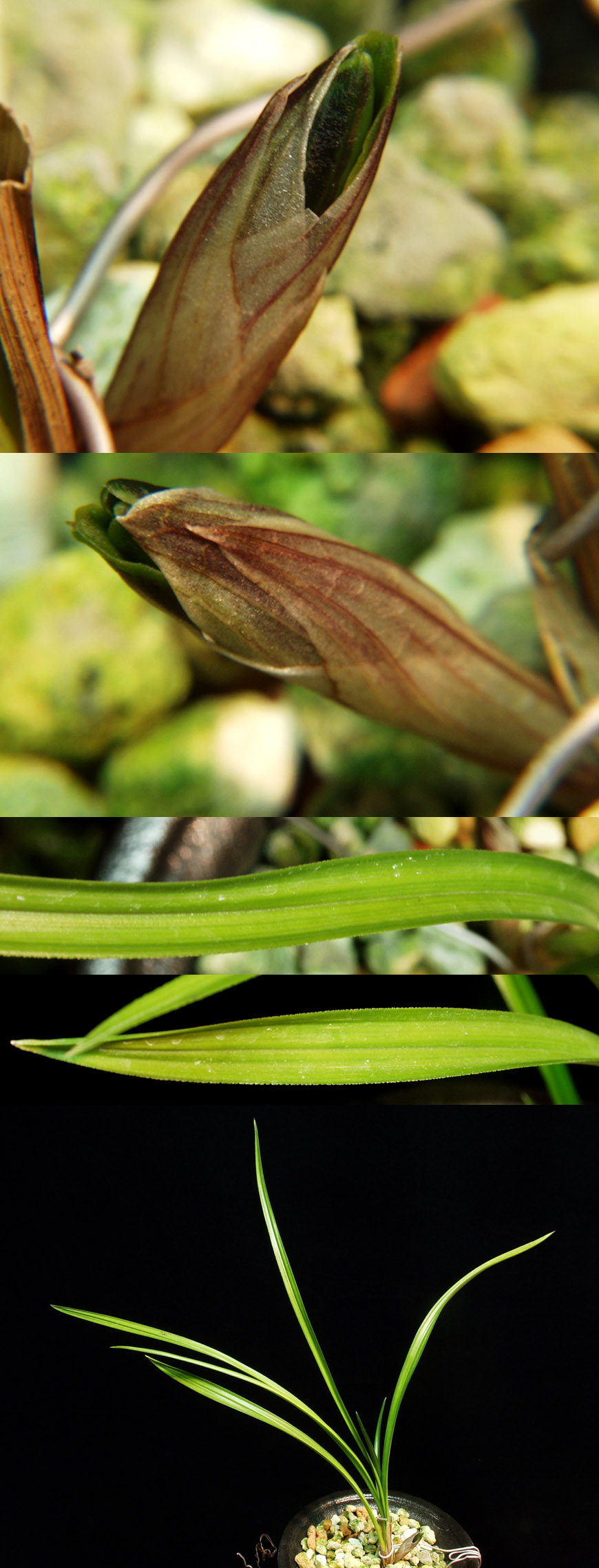 ������ ū������ �� �� �ֽ��ϴ�.