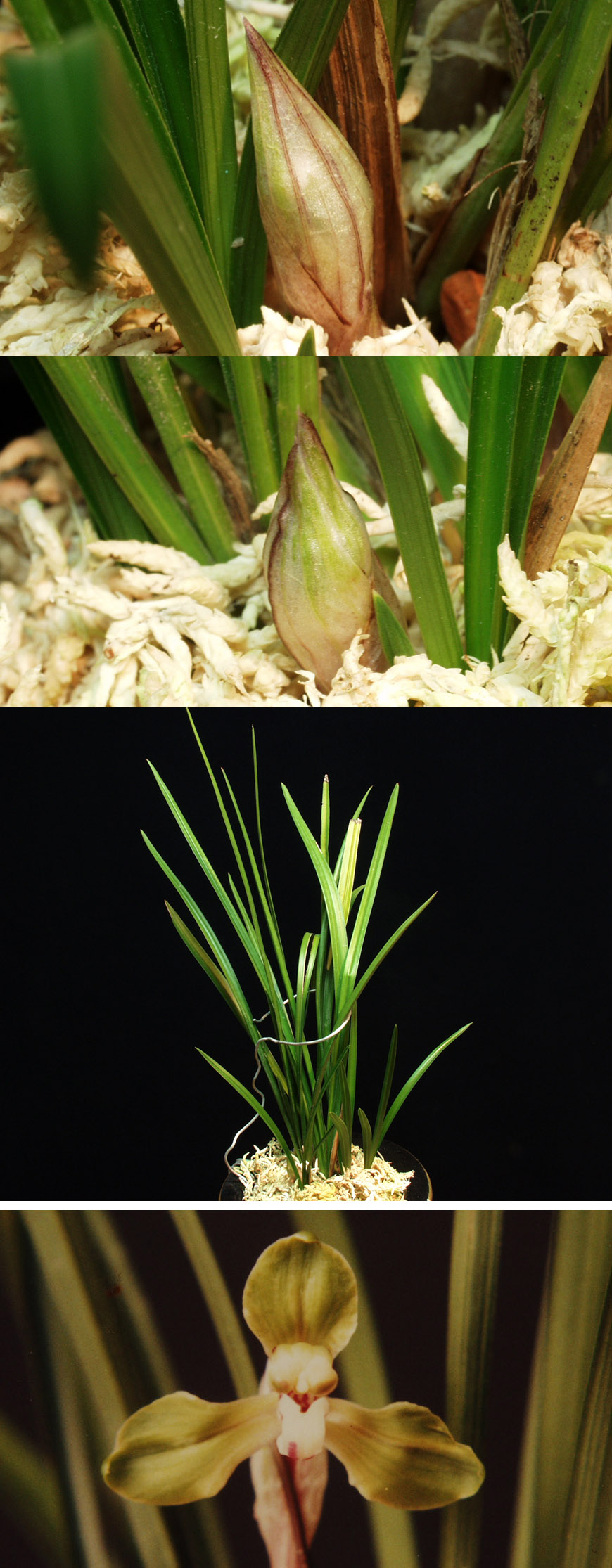 ������ ū������ �� �� �ֽ��ϴ�.