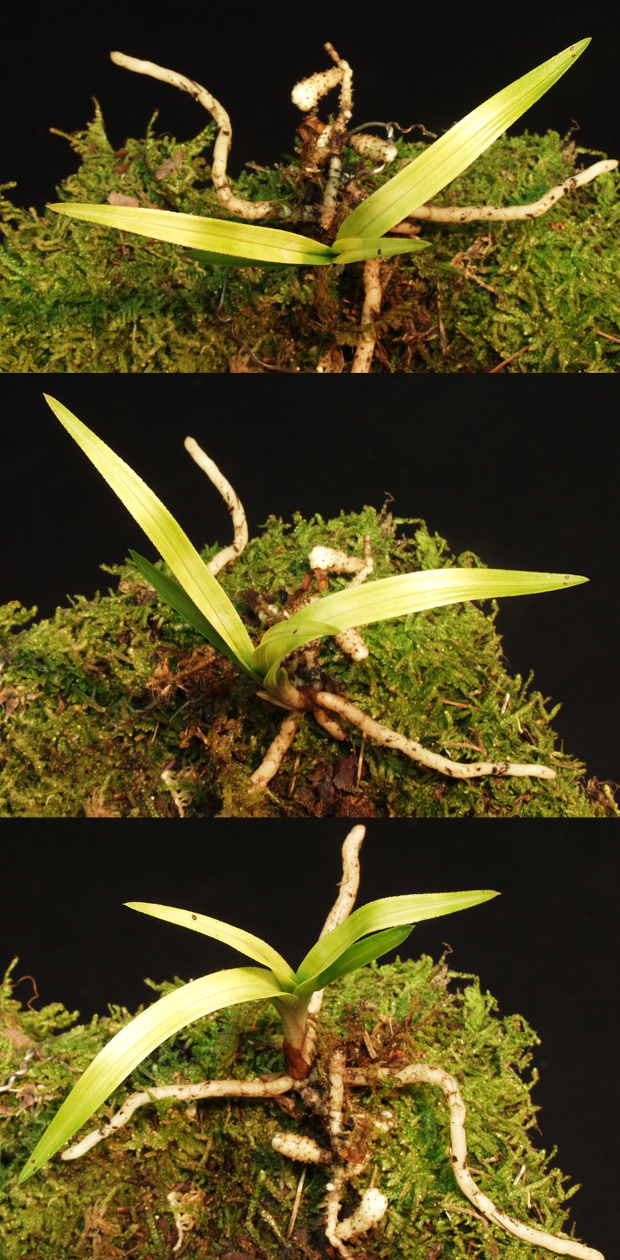 ������ ū������ �� �� �ֽ��ϴ�.