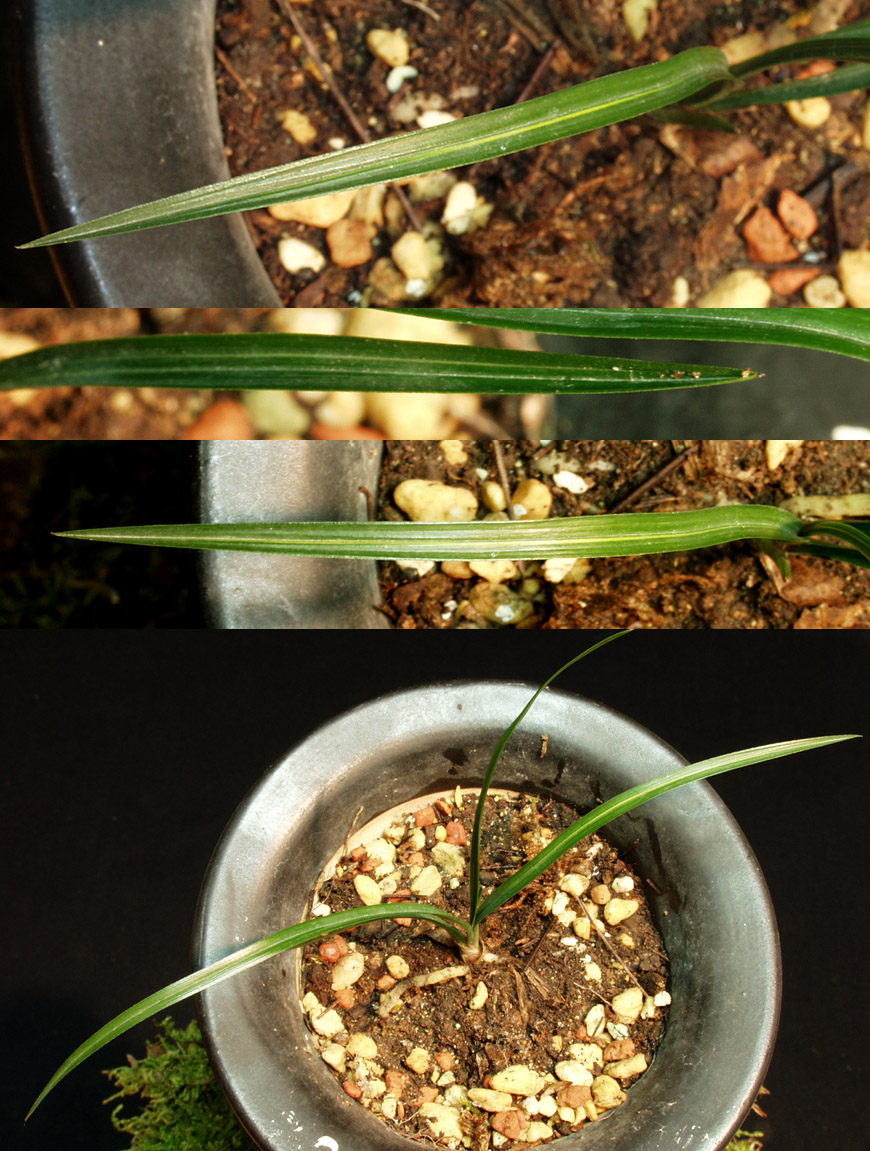 ������ ū������ �� �� �ֽ��ϴ�.