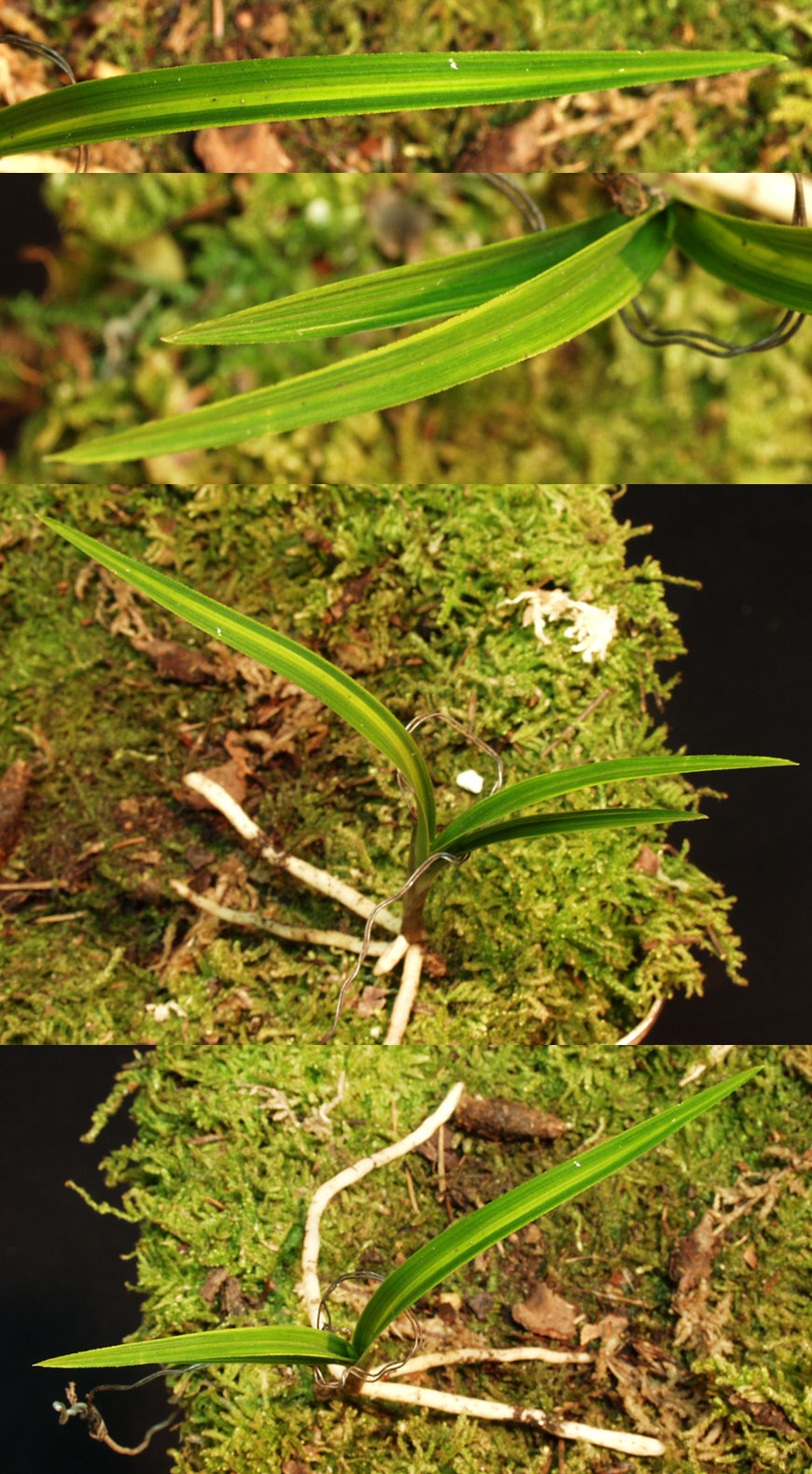 ������ ū������ �� �� �ֽ��ϴ�.