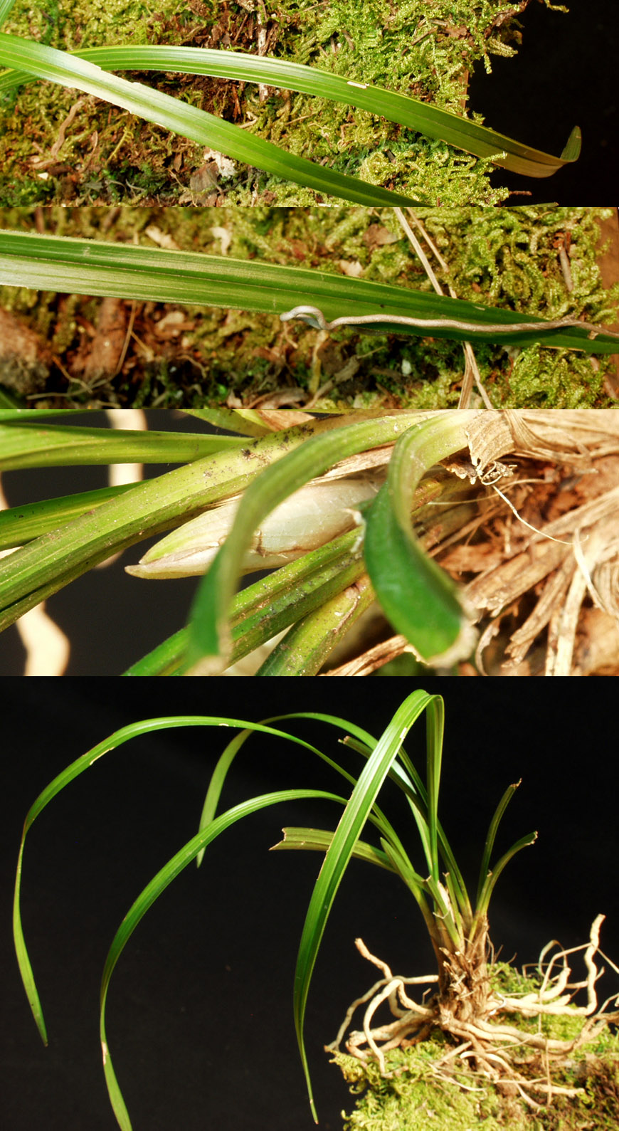 ������ ū������ �� �� �ֽ��ϴ�.