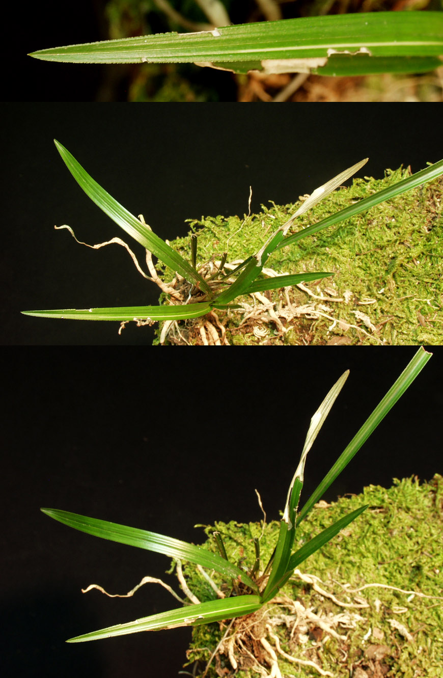 ������ ū������ �� �� �ֽ��ϴ�.