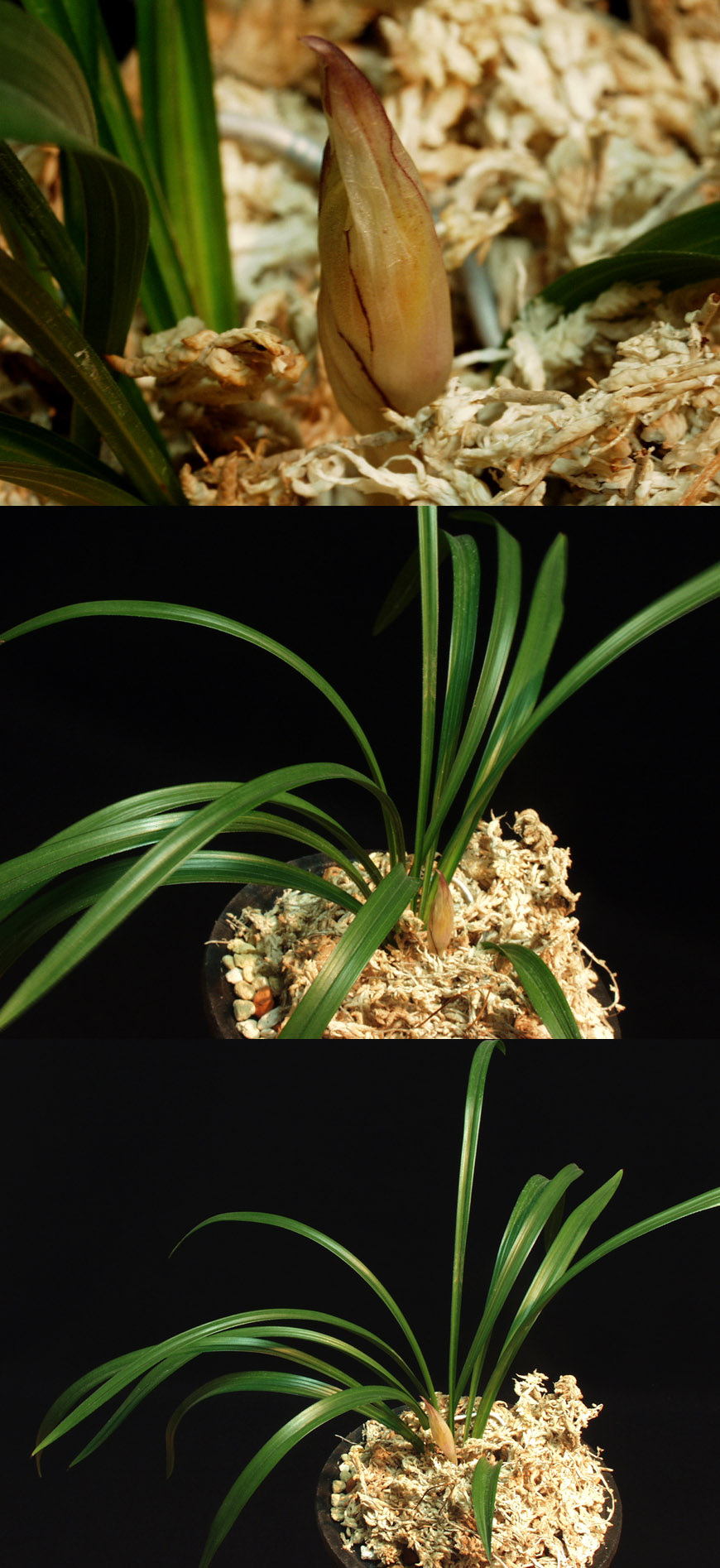 ������ ū������ �� �� �ֽ��ϴ�.