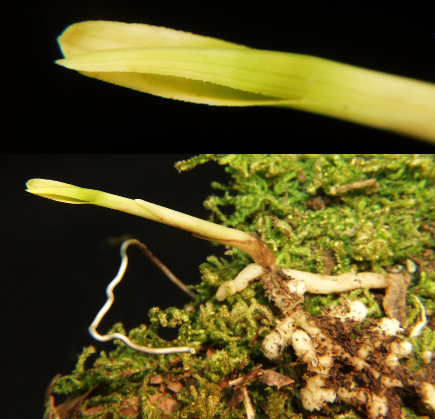 ������ ū������ �� �� �ֽ��ϴ�.